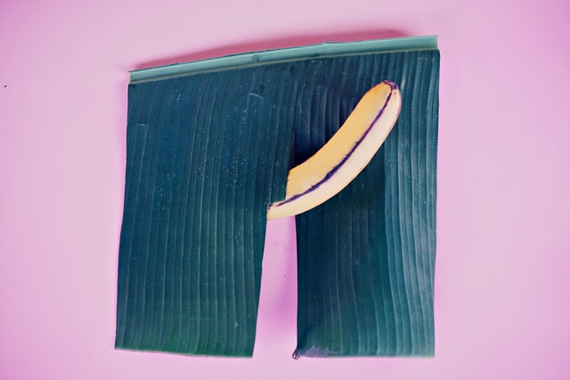 erection
